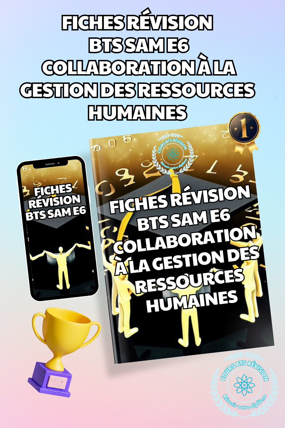 Fiches Révision E6 BTS SAM (Collaboration à la gestion des ressources humaines)