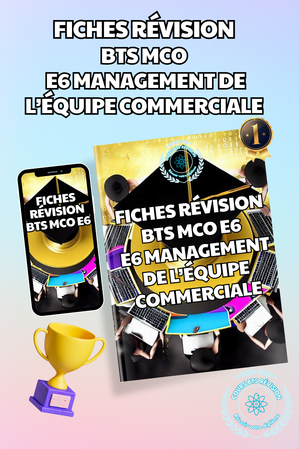 Fiches révision BTS MCO E6 Management de l’équipe commerciale