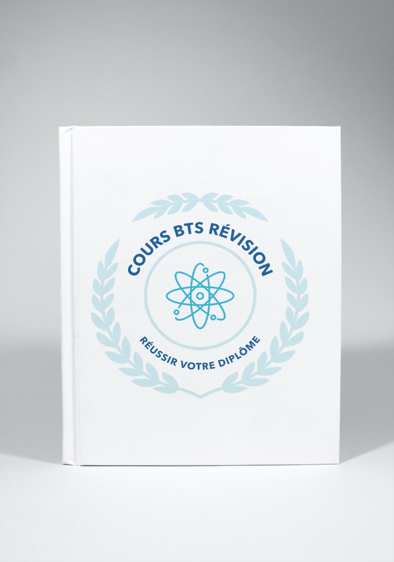 Fiches Méthode Passeport Professionnel et l'Épreuve Orale en BTS Communication